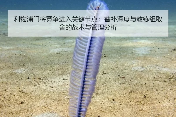 利物浦门将竞争进入关键节点：替补深度与教练组取舍的战术与管理分析